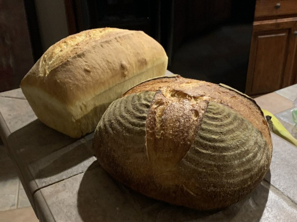 A sandwich loaf and crusty boule on the counter.